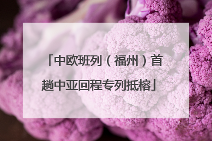 中欧班列（福州）首趟中亚回程专列抵榕