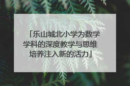 乐山城北小学为数学学科的深度教学与思维培养注入新的活力