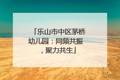 乐山市中区茅桥幼儿园：同频共振，聚力共生