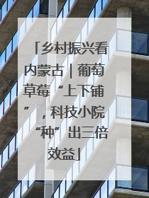 乡村振兴看内蒙古｜葡萄草莓“上下铺”，科技小院“种”出三倍效益