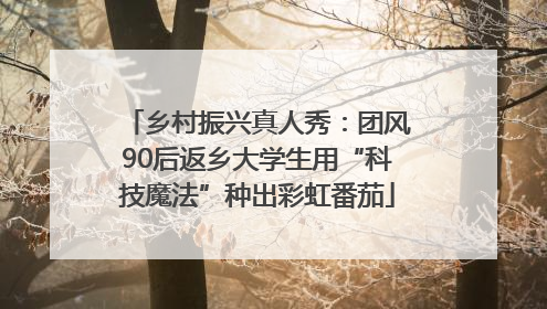 乡村振兴真人秀：团风90后返乡大学生用“科技魔法”种出彩虹番茄