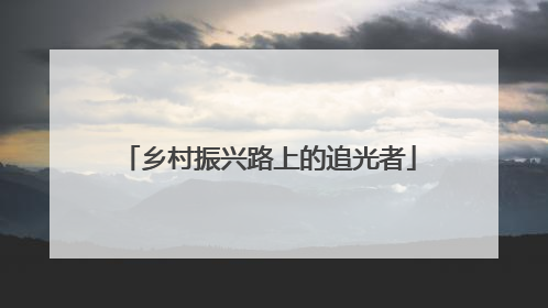 乡村振兴路上的追光者