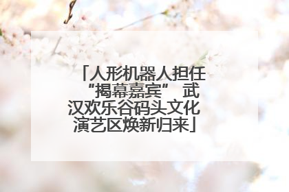 人形机器人担任“揭幕嘉宾” 武汉欢乐谷码头文化演艺区焕新归来