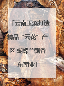 云南玉溪打造精品“云花”产区 蝴蝶兰飘香东南亚