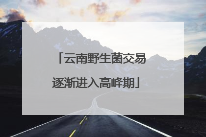 云南野生菌交易逐渐进入高峰期