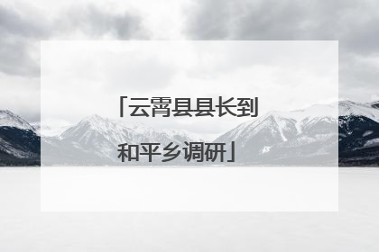 云霄县县长到和平乡调研