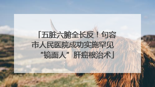 五脏六腑全长反！句容市人民医院成功实施罕见“镜面人”肝癌根治术