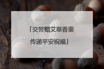 交警赠艾草香囊 传递平安祝福