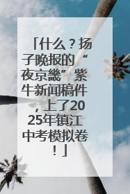 什么？扬子晚报的“夜京畿”紫牛新闻稿件，上了2025年镇江中考模拟卷！