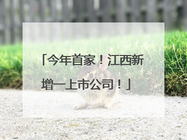 今年首家！江西新增一上市公司！
