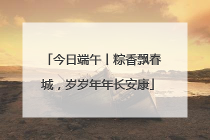 今日端午丨粽香飘春城，岁岁年年长安康