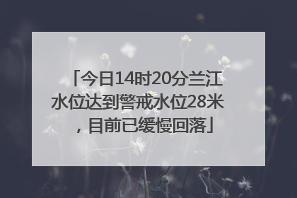今日14时20分兰江水位达到警戒水位28米，目前已缓慢回落