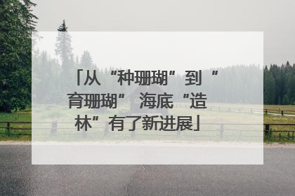从“种珊瑚”到“育珊瑚” 海底“造林”有了新进展