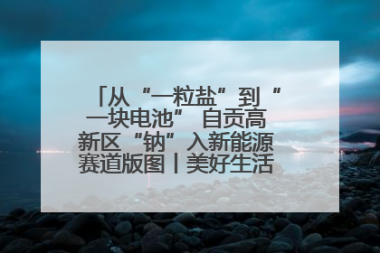 从“一粒盐”到“一块电池” 自贡高新区“钠”入新能源赛道版图丨美好生活有“盐”味