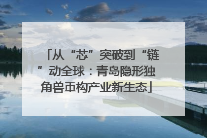 从“芯”突破到“链”动全球：青岛隐形独角兽重构产业新生态