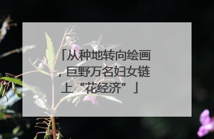 从种地转向绘画，巨野万名妇女链上“花经济”