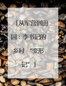 从军营到田园：李书记的乡村 “变形记”