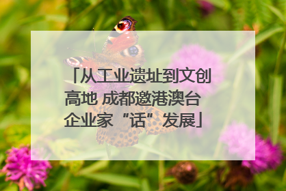 从工业遗址到文创高地 成都邀港澳台企业家“话”发展