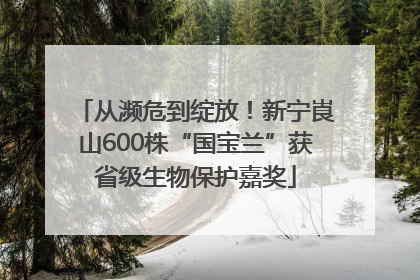 从濒危到绽放！新宁崀山600株“国宝兰”获省级生物保护嘉奖