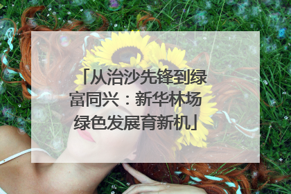 从治沙先锋到绿富同兴：新华林场绿色发展育新机