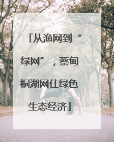 从渔网到“绿网”，蔡甸桐湖网住绿色生态经济