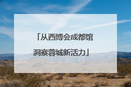 从西博会成都馆洞察蓉城新活力