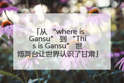 从 “where is Gansu” 到 “This is Gansu” 世博舞台让世界认识了甘肃