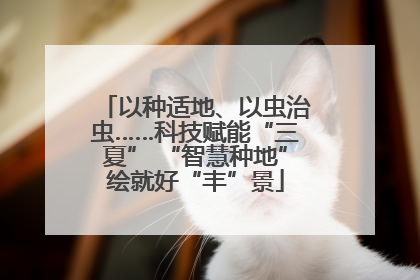 以种适地、以虫治虫……科技赋能“三夏” “智慧种地”绘就好“丰”景