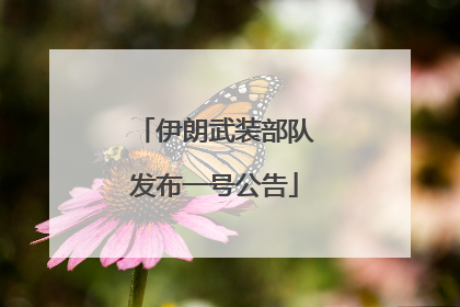 伊朗武装部队发布一号公告