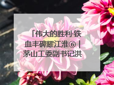 伟大的胜利·铁血丰碑耀江淮⑥｜茅山工委副书记洪天诚的亲笔信
