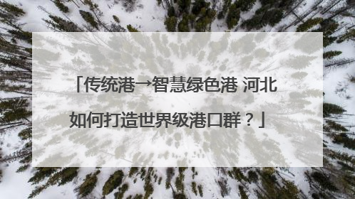 传统港→智慧绿色港 河北如何打造世界级港口群？