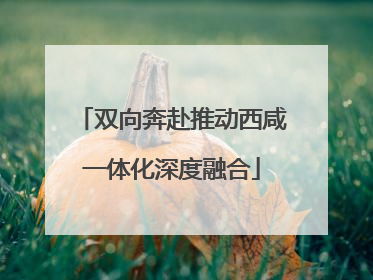双向奔赴推动西咸一体化深度融合