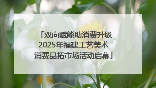 双向赋能助消费升级 2025年福建工艺美术消费品拓市场活动启幕