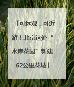 可远观，可近游！北京这处“水岸花园”新建62公里花墙