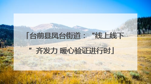 台前县凤台街道：“线上线下”齐发力 暖心验证进行时