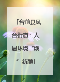 台前县凤台街道：人居环境“焕”新颜