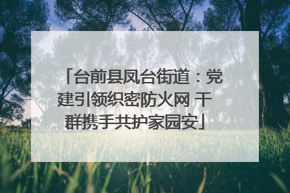 台前县凤台街道：党建引领织密防火网 干群携手共护家园安