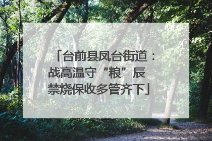 台前县凤台街道：战高温守“粮”辰 禁烧保收多管齐下