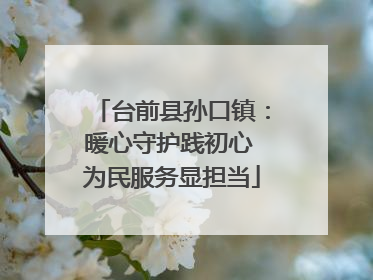 台前县孙口镇：暖心守护践初心 为民服务显担当