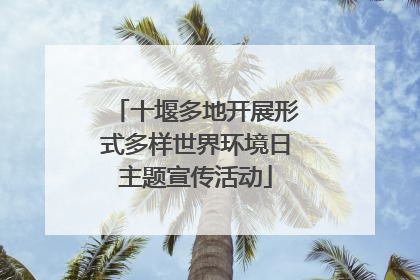 十堰多地开展形式多样世界环境日主题宣传活动