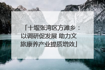 十堰张湾区方滩乡：以调研促发展 助力文旅康养产业提质增效