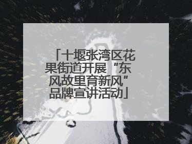 十堰张湾区花果街道开展“东风故里育新风”品牌宣讲活动