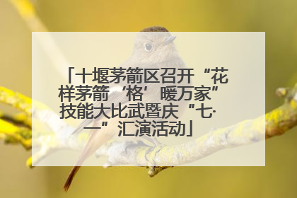 十堰茅箭区召开“花样茅箭‘格’暖万家”技能大比武暨庆“七·一”汇演活动