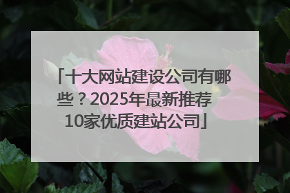 十大网站建设公司有哪些？2025年最新推荐10家优质建站公司