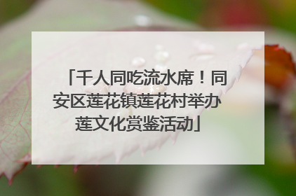千人同吃流水席！同安区莲花镇莲花村举办莲文化赏鉴活动