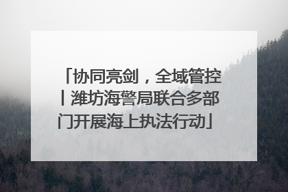 协同亮剑，全域管控丨潍坊海警局联合多部门开展海上执法行动
