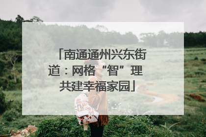 南通通州兴东街道：网格“智”理 共建幸福家园