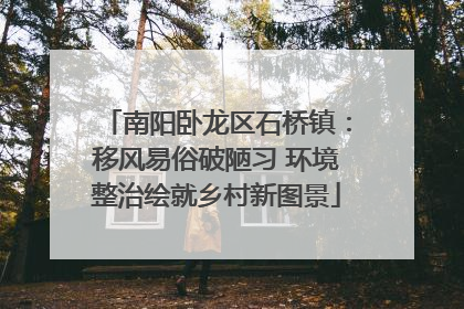 南阳卧龙区石桥镇：移风易俗破陋习 环境整治绘就乡村新图景