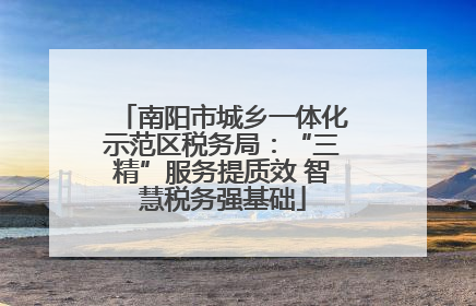 南阳市城乡一体化示范区税务局：“三精”服务提质效 智慧税务强基础