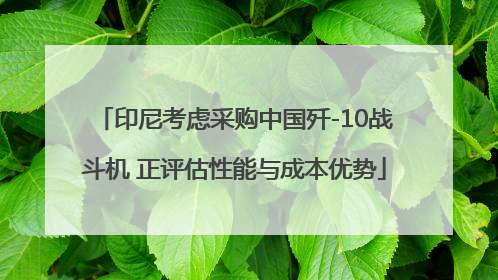 印尼考虑采购中国歼-10战斗机 正评估性能与成本优势